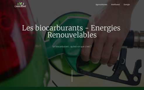 https://www.biocarburant.info